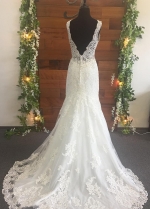 Beaded Appliques V-neck Ivory Wedding Gown