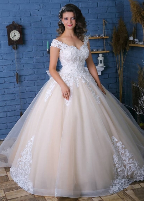 Dreamy Champagne Lace and Tulle Ball Gown Wedding Dresses Off-the-shoulder