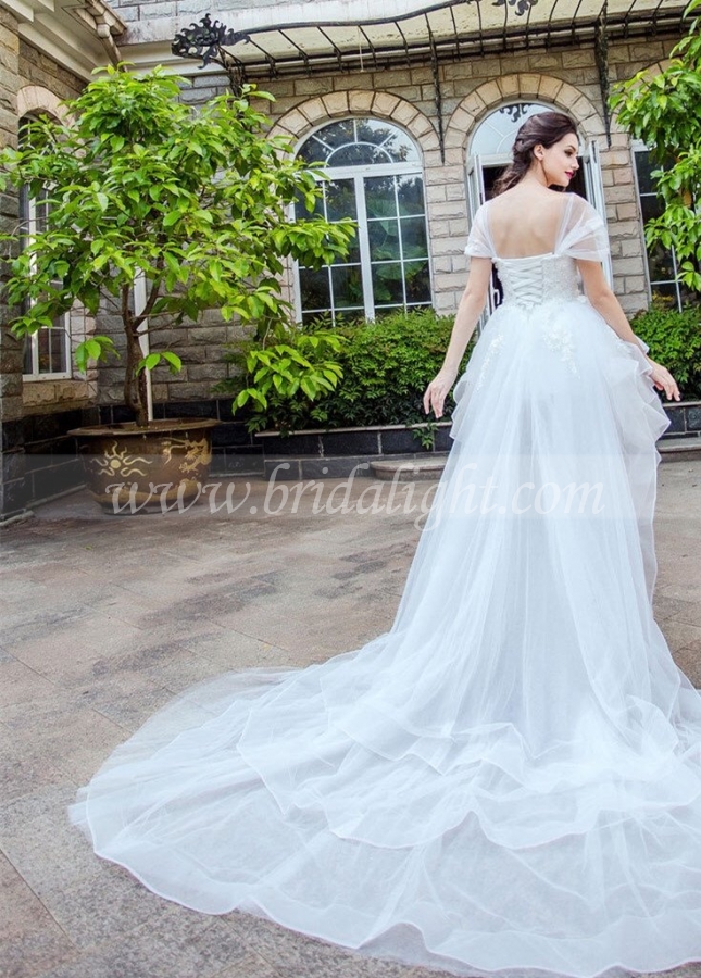 Horsehair Trim Hi-lo Wedding Dresses with Tulle Wrapped Sleeves