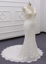 Lace V-neckline Mermaid Wedding Dress