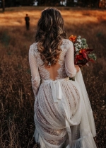 Long Sleeves V Back Points Lovely Champagne Lining Wedding Dresses
