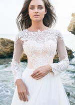 Long Sleeved Beach Lace Wedding Dresses