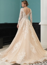 Long Sleeve Champagne Wedding Dresses Lace
