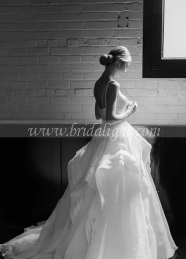 Ruffled Organza Ball Gowns Wedding Dresses Lace V-neckline vestido de baile