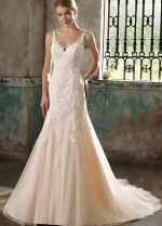 V-neckline Appliques Fit&Flare Bride Dress Champagne Wedding Gowns Online